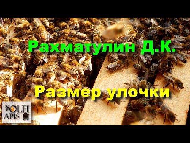 #Рахматулин Д.К. Размер улочки