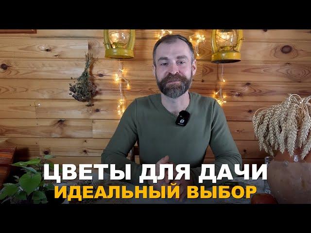 НЕПРИХОТЛИВЫЕ И ПОЛЕЗНЫЕ ЦВЕТЫ. Цветы которые приносят пользу саду и огороду.