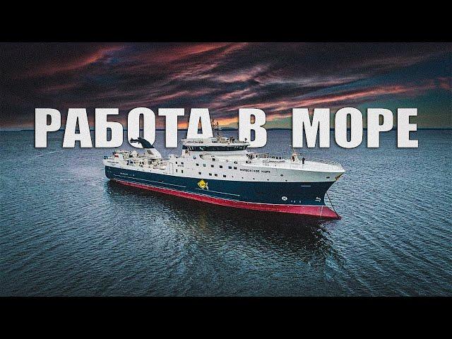 КАК ПОПАСТЬ В МОРЕ | БЫТ МОРЯКА | ОТЗЫВЫ О НБАМР | СТОИТ ЛИ ХОДИТЬ В МОРЕ | РЕКОМЕНДАЦИИ МАТРОСАМ 