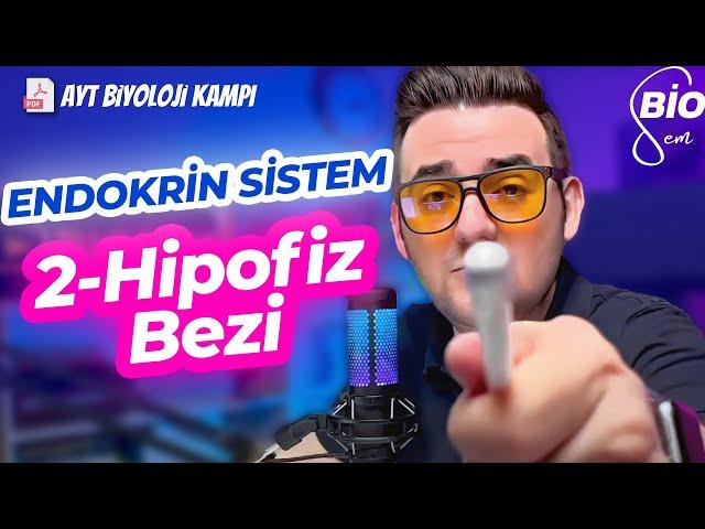 Endokrin Sistem-2 Hipofiz Bezi | Ayt Biyoloji Konu Anlatımı 11. Sınıf | 2024