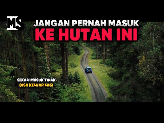 SEREM! HUTAN INI DIHUNI MAKHLUK-MAKHLUK MISTERIUS | #Mstory vol.229