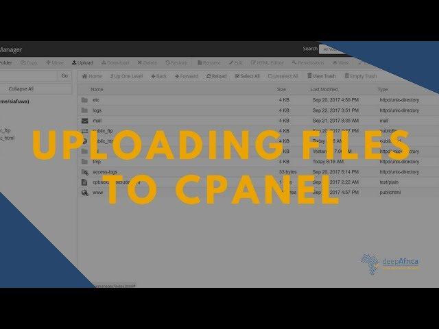Uploading Website Files to CPanel