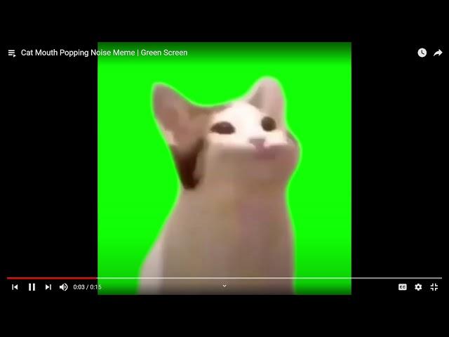 Cat Mouth Popping Noise Meme