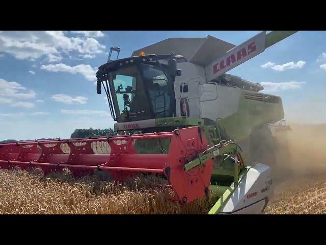 What's it like to harvest grain in The Netherlands? Stubble fire!!