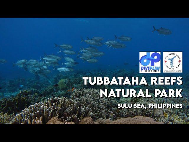 TUBBATAHA REEFS NATURAL PARK, PHILIPPINES | GoPro underwater video FULL HD | Scuba diving travel