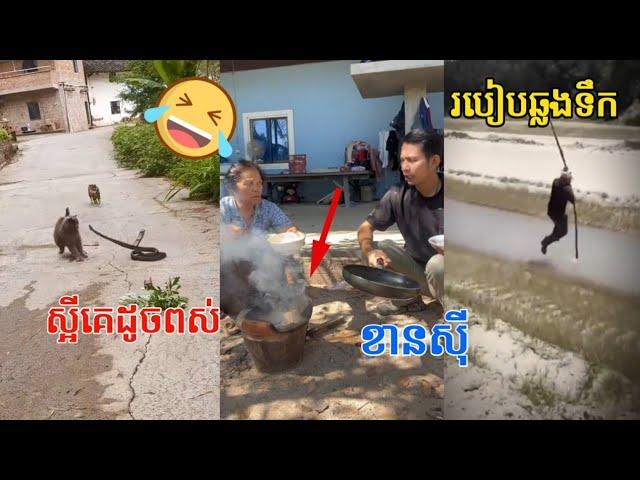 ស្អីគេដូចពស់,ខានសុី / funny video,