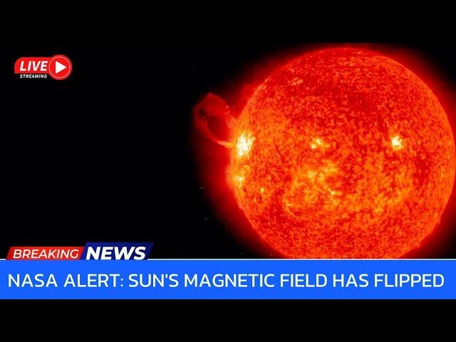 Top NASA Scientist Reveals the SUN'S SHOCKING Magnetic Flip Secret!