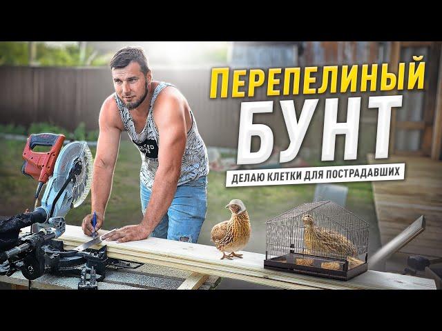 МАЛЕНЬКОЕ хозяйство - БОЛЬШИЕ ПРОБЛЕМЫ! И СТРОИТЬ и отдыхать находим время!!!