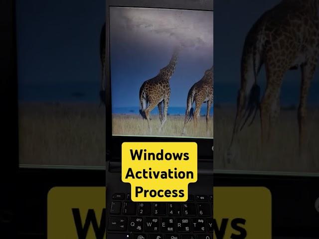 Windows Activation Process with Shortcut  #windows #Activation