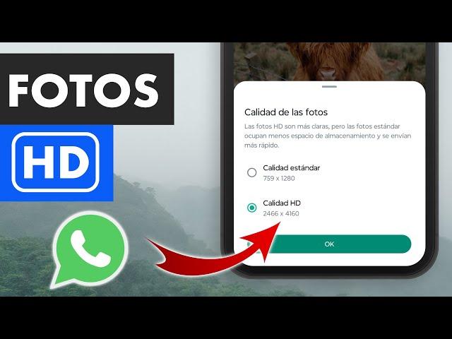 Cómo Enviar Fotos En HD Por WhatsApp Sin Perder Calidad | Nueva Función Oficial 