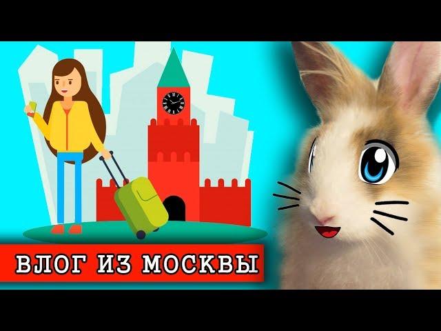 КОТ и КРОЛИК БАФФИ смотрят ПРИКЛЮЧЕНИЯ В МОСКВЕ! Мой ДЕНЬ на КАНИКУЛАХ или MY Holiday routine