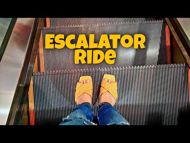 Escalator Ride || lovester1 PS