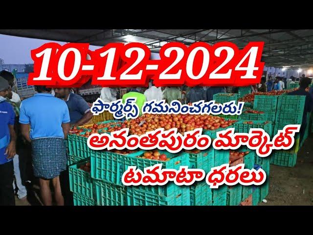 10 December 2024 today Anantapur tomato market rates/Today tomato price/ Ananthapuram tomato rate#