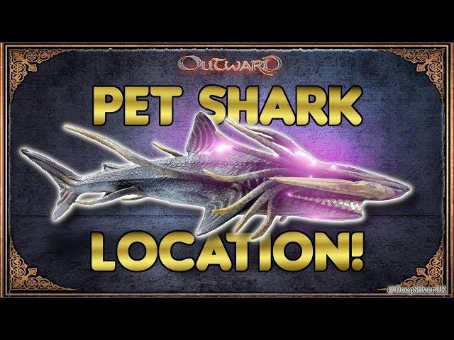 Pet Crescent Shark Location! - Outward Tips and Tricks