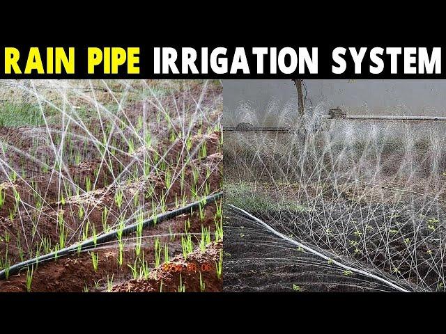 RAIN PIPE IRRIGATION SYSTEM | How to install Rain irrigation System