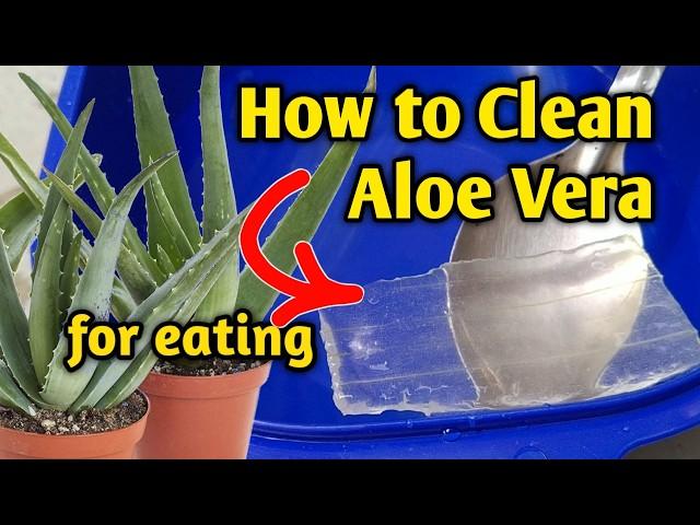 How to Prepare Aloe Vera for Eating