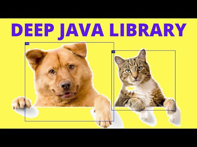 DEEP JAVA LIBRARY EXPLAIN | AMAZON | EXAMPLE JAVA CODE DOG CAT | DEEP LEARNING CODE | InterviewDOT