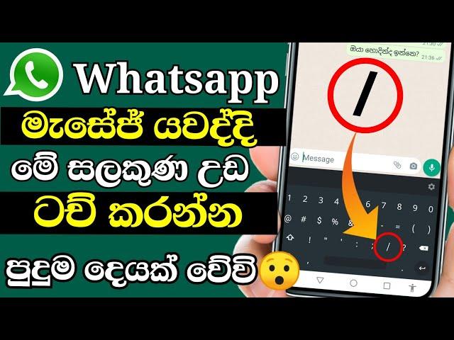 Whatsapp secret tricks and tips new 2021 Shark boy sl | whatsapp rahas