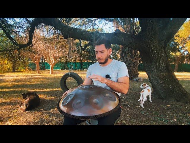 30 Minutos de Handpan en el Bosque  | Música Relajante para Meditar 