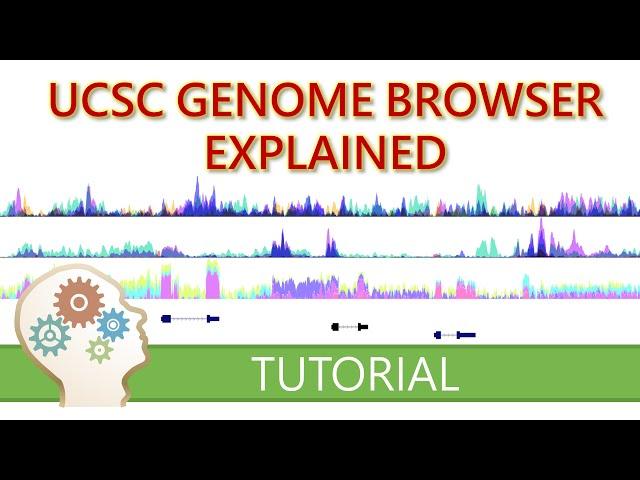 GET STARTED WITH THE UCSC GENOME BROWSER - What you need to know