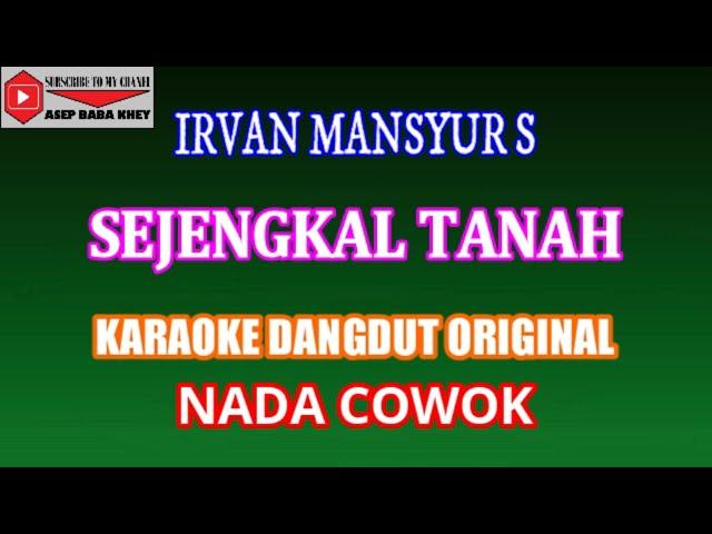 KARAOKE DANGDUT SEJENGKAL TANAH - IRVAN MANSYUR S (COVER) NADA COWOK