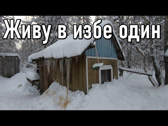 Второй заезд на участок,один в тайге,изба,отрыв от цивилизации. 2 серия