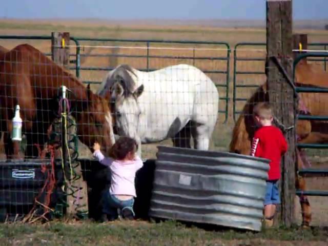 jake and ellie with the horses