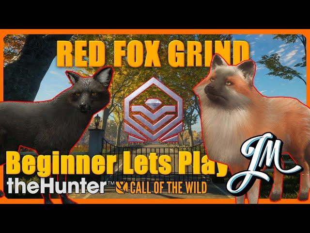 2100ks A Game of Wits: Hunter vs. Great One Fox! The Great Fox Saga!- NEW ALERTS - 1JMGames