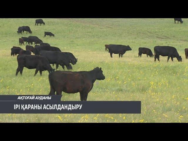 ҚАРАҒАНДЫ ОБЛЫСЫНЫҢ КҮНДІЗГІ ЖАҢАЛЫҚТАРЫ 13 ШІЛДЕ