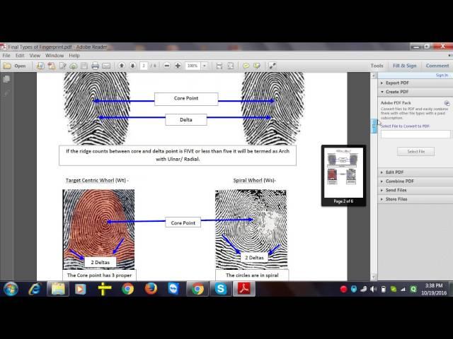 Types of fingerprints and ridge count for DMIT - Mind Tech International