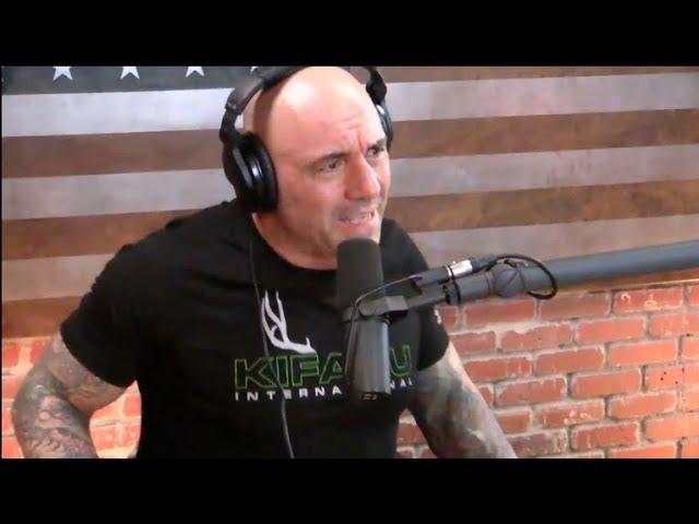 Joe Rogan - College Should Be Free