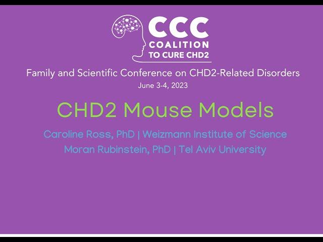 CHD2 mouse model