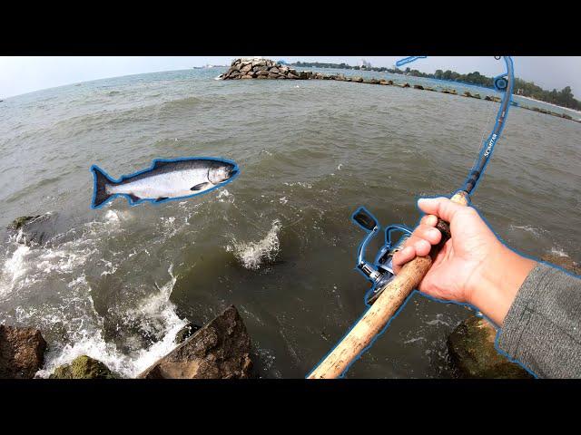 SALMON Fishing Lake Ontario, Canada from Shore 2020