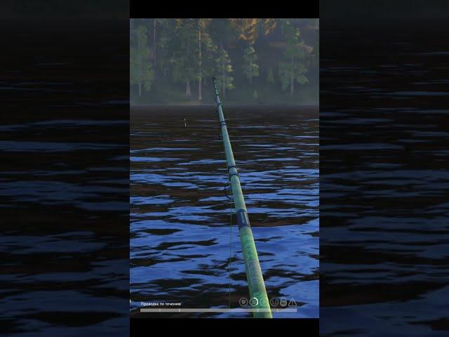 Fishing on a float in the river. RF4 #shorts #fishing #gaming