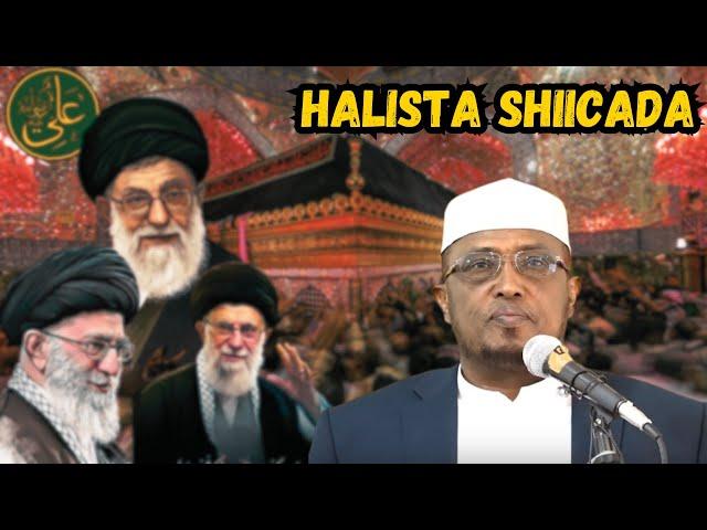 Sh Dirir┇► Afkaarta Shiicadu Aamisan Tahay