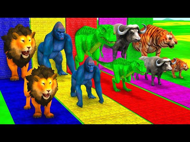 Elephant Tiger Lion Buffalo Dinosaur Choose The Right Wall Animal Crossing Fountain Matching Game