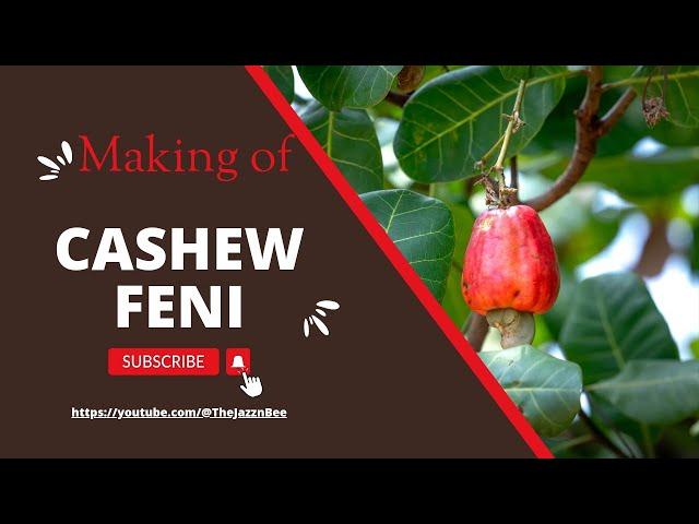 CASHEW FENI : The traditional way of making