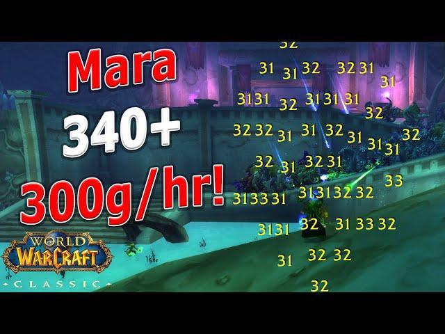 WoW Classic - Mara 1 Pull 340+! 300g/hr - 120k xp/hr! Powerlevel / Gold Farm