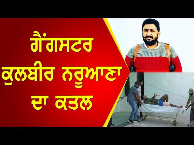 Gangster Kulbir Naruana ਦਾ ਕਤਲ | Parvasi TV