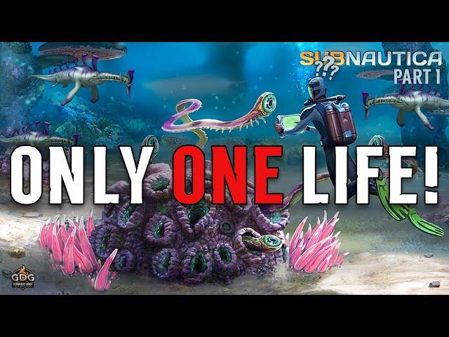 Can I Beat Subnautica Without Losing Everything?