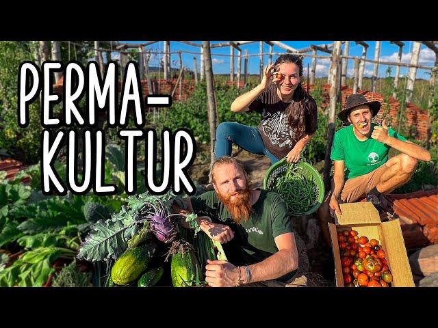 HOW DOES PERMACULTURE WORK IN PRACTICE I Crash course for Self-Sufficiency