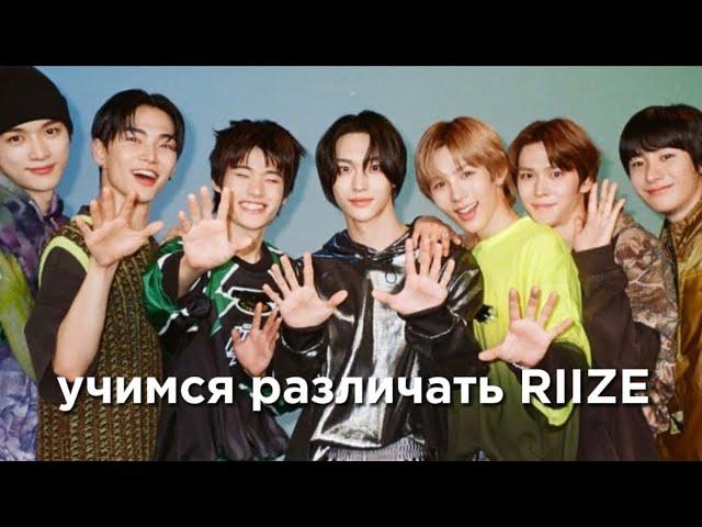 учим k-pop группу RIIZE/учимся различать RIIZE | vetmifi