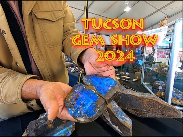 Epic Day at the Tucson Gem Show 2024