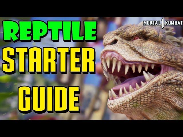 Reptile Ultimate Starter Guide - Mortal Kombat 1