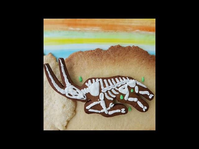 Circle of Life (Cookie Stop Motion Animation)