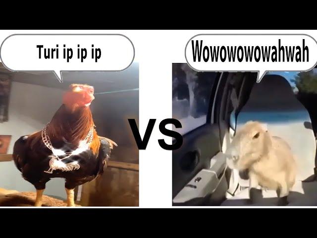 turi ip ip ip vs wowowowowahwah (Epic Rap Battle)