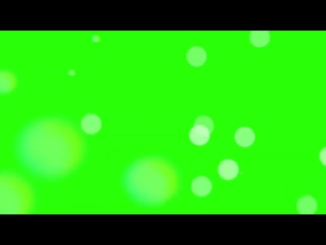 wedding ll Sparkle  ll Background Green Screen ll 2022