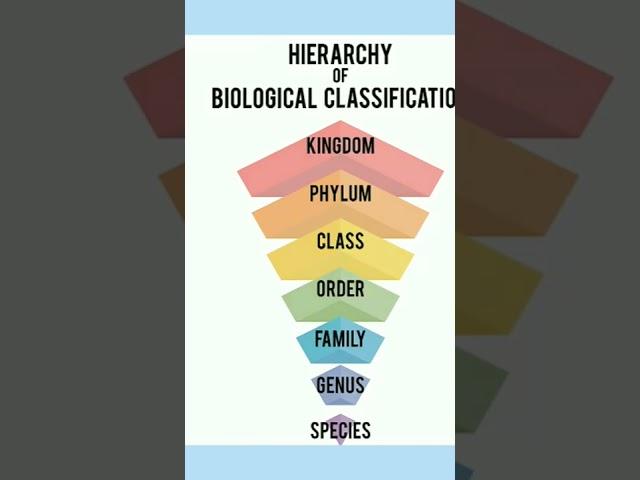 Taxonomy and classification #competitveexams #biology #stateexams