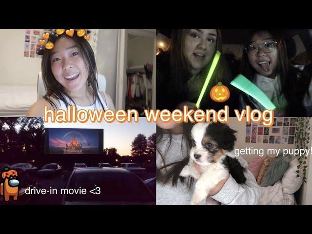 HALLOWEEN weekend in my life vlog | drive-in movie & getting my new puppy!