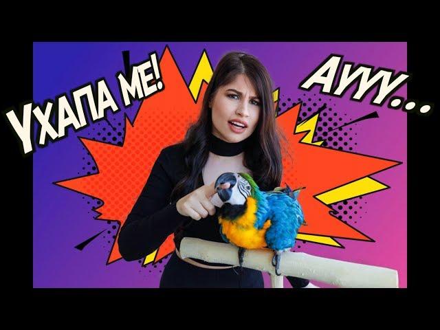 **Папагалът ме ХАПЕ!!** КАК ДА ГО СПРА!? 3 Метода - 100% УСПЕХ / Stop parrot from biting